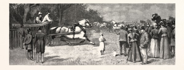 THE LONDON CART HORSE PARADE ON WHIT-MONDAY: A COMPETITOR ENTERING THE SHOW GROUND, UK