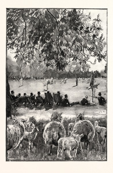 A BOY'S LIFE AT ETON: OH! WELL HIT! A CRICKET MATCH IN THE PLAYING FIELDS, UK