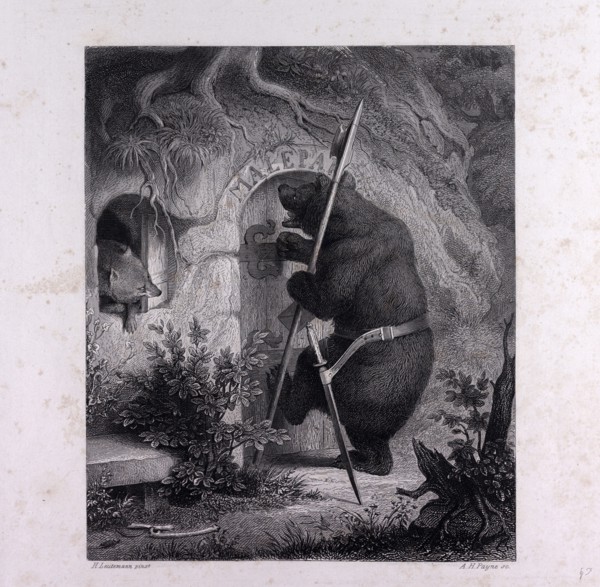 Bruin as messenger