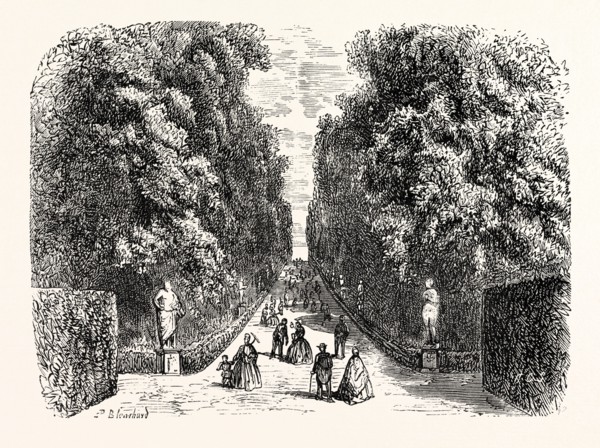 AVENUE IN BOBOLI GARDENS.