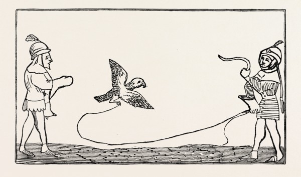 THE LURE