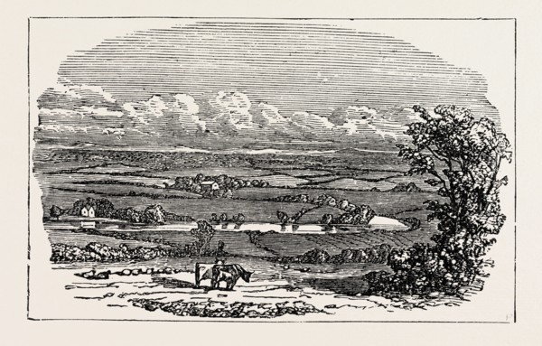 RUNNYMEDE