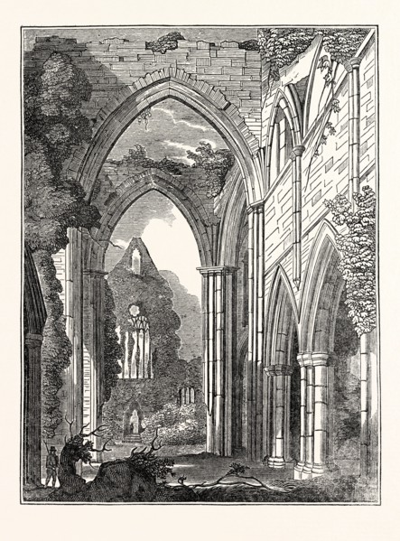 View of Tintern Abbey