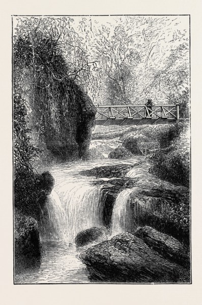 THE CINCHONA PLANTATIONS AT DARJEELING, BENGAL: FOOT-BRIDGE OVER THE RIVER RUNGBEE