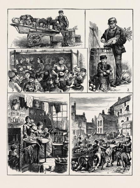 THE STREET VENDORS' QUESTION, LIFE IN GOLDEN LANE: 1. THE EARL'S BARROW; 2. TRIMMINGS FOR SOUP