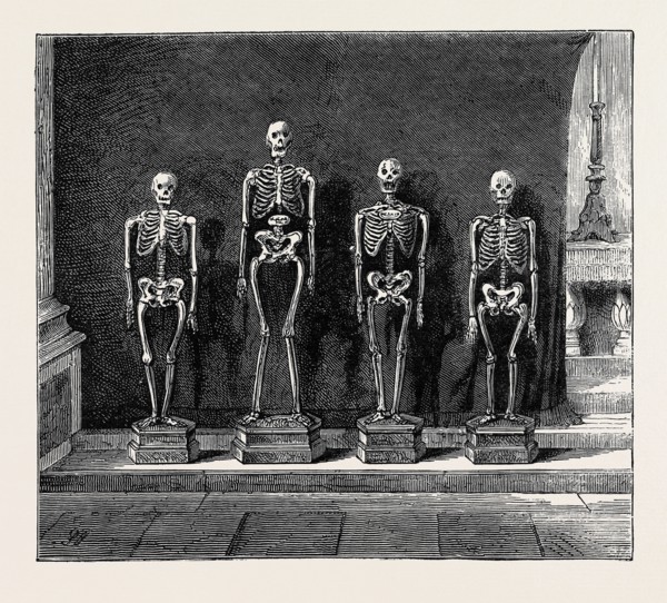 A VISIT TO THE BATTLEFIELD OF SOLFERINO: SKELETONS FOUND ON THE BATTLEFIELD
