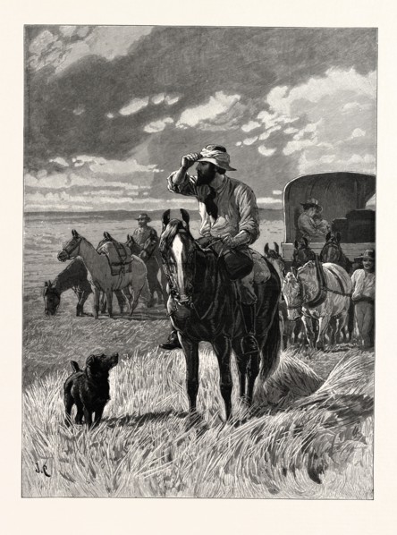 IN SEARCH OF A NEW HOME, A SCENE IN THE FAR WEST