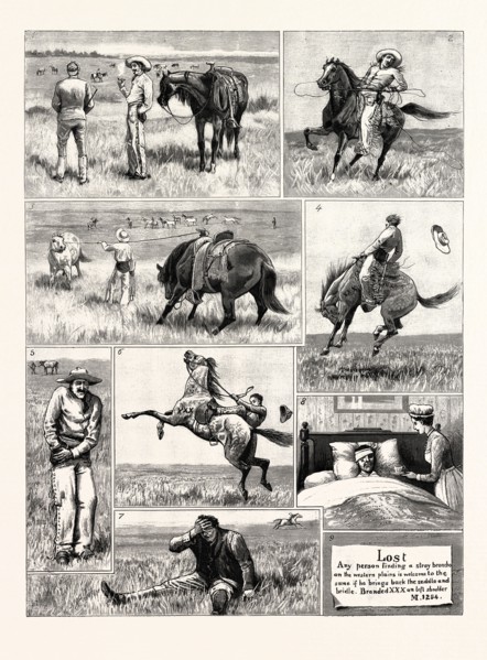 MY FIRST AND LAST EXPERIENCE OF A BRONCHO: 1. "Well, sir, I guess there ain't a quieter lot of