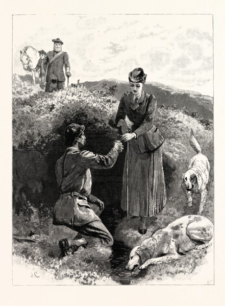 GROUSE SHOOTING ON THE MOORS: THE CUP THAT CHEERS, BUT NOT INEBRIATES