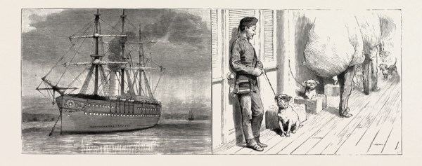 THE INDIAN RELIEF TROOPING SEASON, PASSING THROUGH THE SUEZ CANAL: TIED UP AT A "GARE" OR STATION