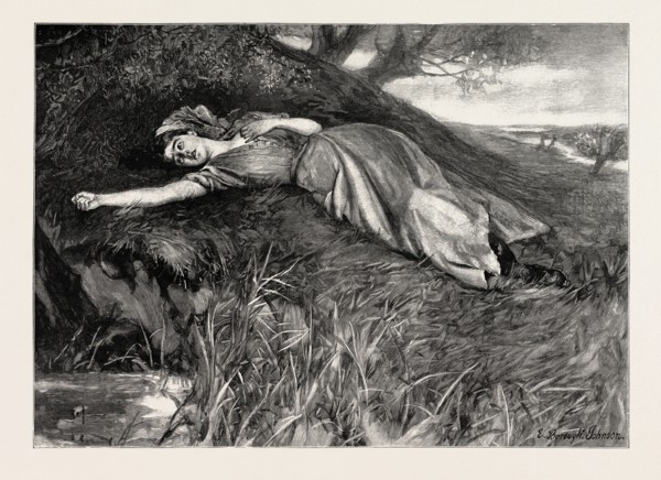 TESS OF THE D'URBERVILLES: "Tess flung herself down upon the undergrowth of rustling spear-grass as