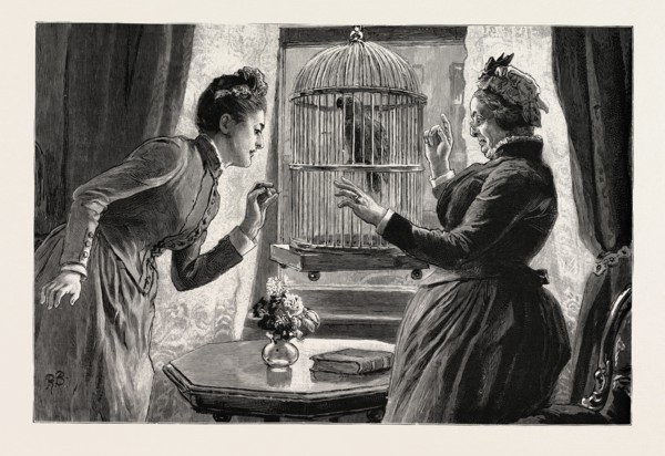 THE PARROT AND THE CABBIES, AN INCIDENT AT A SEASIDE HOLIDAY RESORT: THE CAUSE (THE PARROT HAS