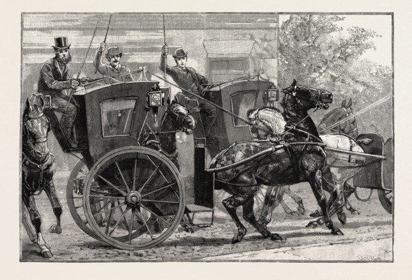 THE PARROT AND THE CABBIES, AN INCIDENT AT A SEASIDE HOLIDAY RESORT: THE EFFECT OF A PARROT MAKING