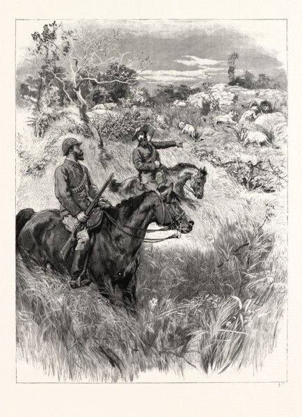 LORD RANDOLPH CHURCHILL IN SOUTH AFRICA: A MEETING WITH A TROOP OF LIONS