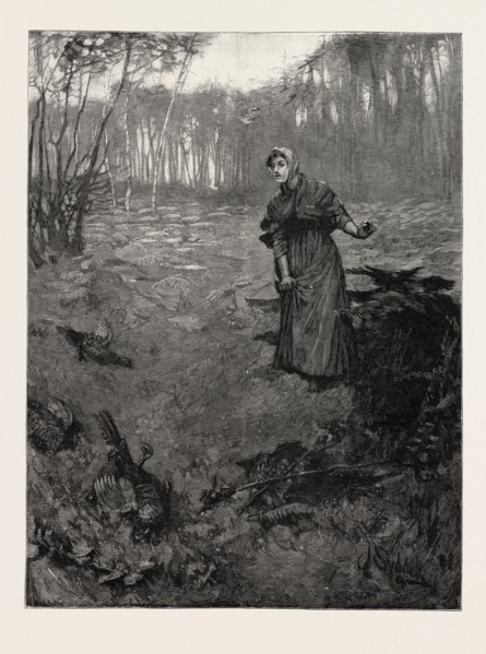 TESS OF THE D'URBERVILLES: "The plantation wherein she had taken shelter ran down at this spot into