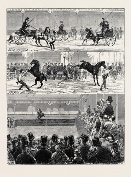 A PARISIAN HORSE SHOW