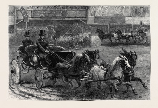 FOUR-IN-HAND AND TANDEM PONIES AT THE HORSE SHOW