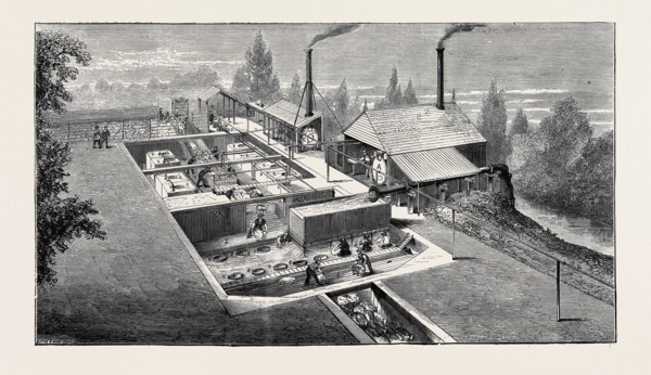 SCENE AT AN AUSTRALIAN SHEEP STATION, COLLAROY, NEW SOUTH WALES: THE NEW PLAN OF SHEEPWASHING