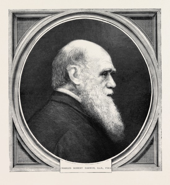 CHARLES ROBERT DARWIN, LL.D., F.R.S., BORN FEBRUARY 12, 1809; DIED APRIL 19, 1882