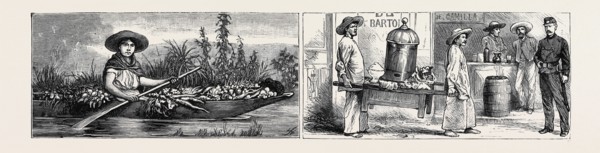 MEXICO: VEGETABLE MERCHANT (LEFT), TRIPE MERCHANTS (RIGHT)