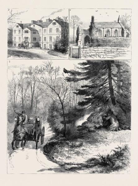 IRELAND, THE ASSASSINATION OF MRS. HENRY SMYTHE: 1. Barbavilla House, Westmeath, Residence of Mr. W