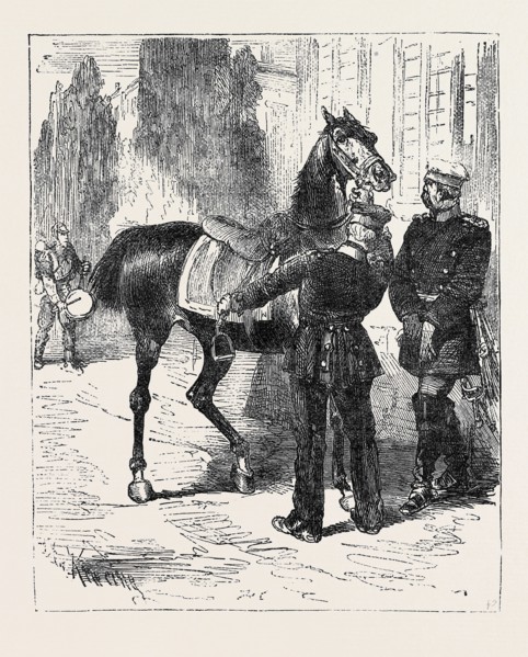 THE FRANCO-PRUSSIAN WAR, AN ALARM AT VERSAILLES