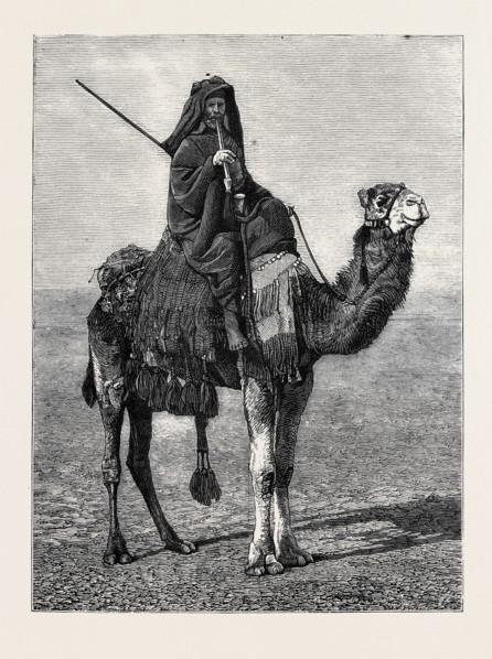 EGYPT: A TRAVELLING BEDOUIN