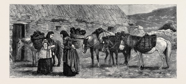 THE DUKE OF EDINBURGH IN THE SHETLAND ISLANDS: SHETLAND PONIES