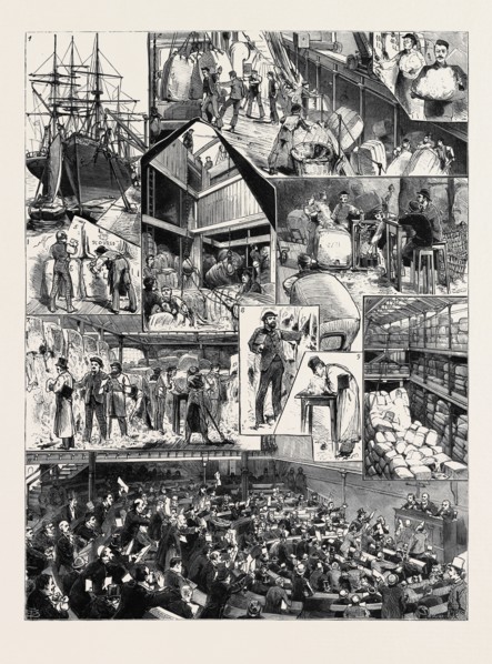 OUR COLONIAL WOOL TRADE: 1. The Dublin Castle discharging Cargo of Cape Wool at Blackwall Docks; 2.