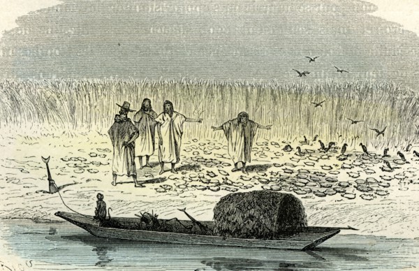 A massacre of turtles, 1869, Peru