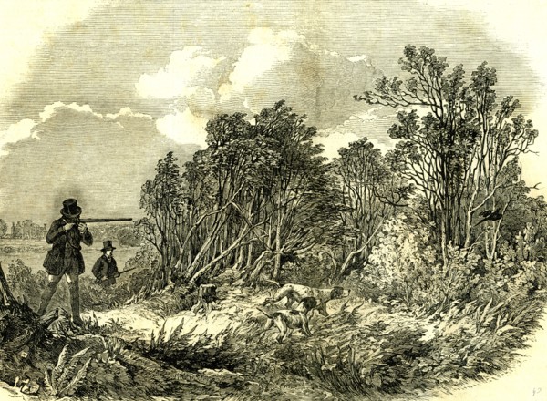 Pheasant Shooting, U.K., 1850