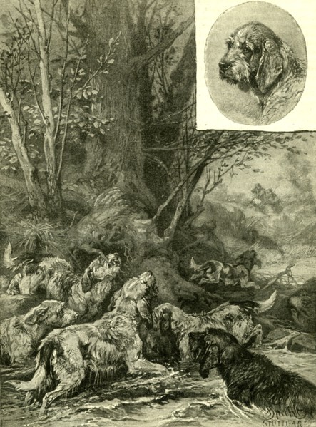 Dogs, Hunting, Austria, 1891
