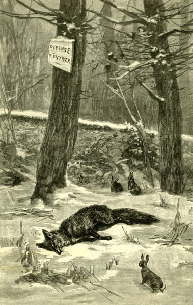 Hunting, Fox, Austria 1891