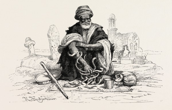SNAKE-CHARMER.  Snake charming is the practice of pretending to hypnotise a snake by playing an