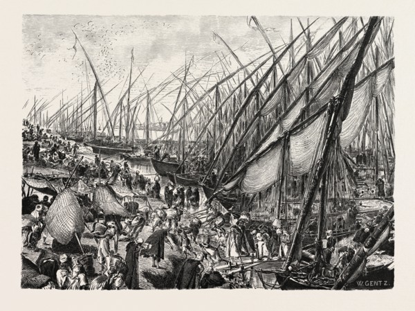 HARBOUR OF BOOLAK. Egypt, engraving 1879