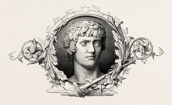 Egypt, ornament, engraving 1879