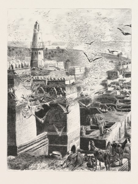 VILLAGE IN UPPER EGYPT. Egypt, engraving 1879