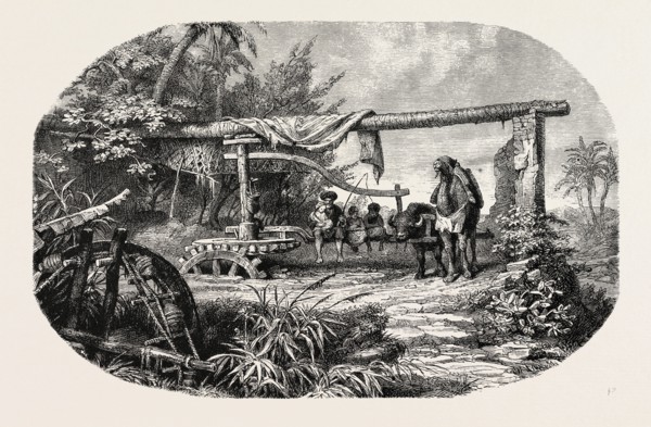 WATER-WHEEL. Egypt, engraving 1879