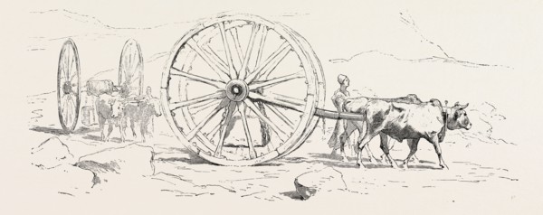 TRANSPORT OF STONE. Egypt, engraving 1879