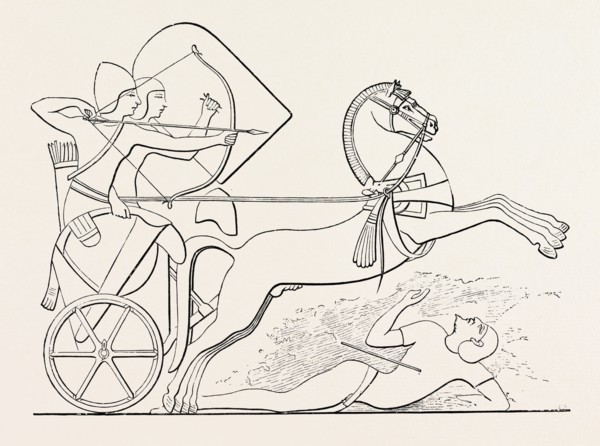 THE HORSE IN THE HEAT OF BATTLE. Egypt, engraving 1879