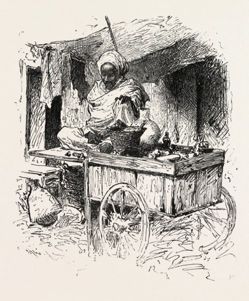 WANDERING HUCKSTER. Egypt, engraving 1879
