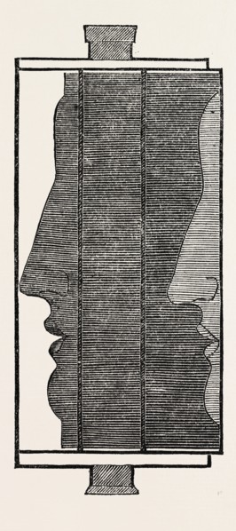 Section, showing the impression of the features in a physiognotype