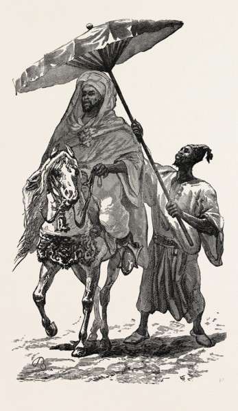 THE SULTAN OF MOROCCO