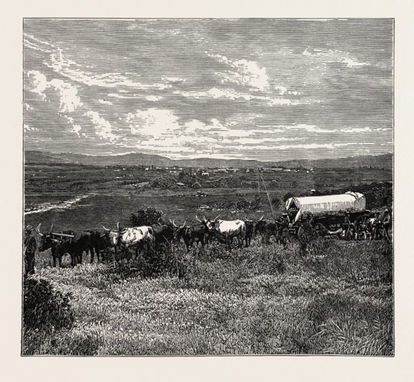 VIEW OF PRETORIA, THE CAPITAL OF THE TRANSVAAL. Pretoria is a city in the northern part of Gauteng