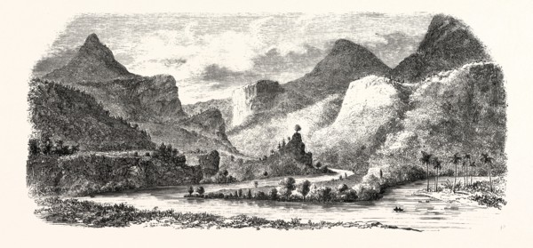 State Honduras. Course of the river Mejecote. engraving 1855