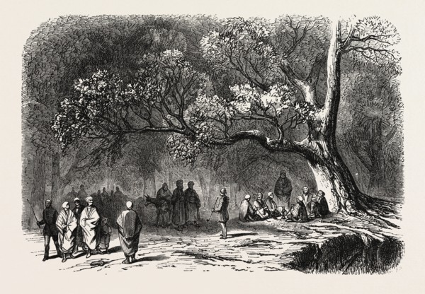 The kief in the islands of princes, 1855. Engraving
