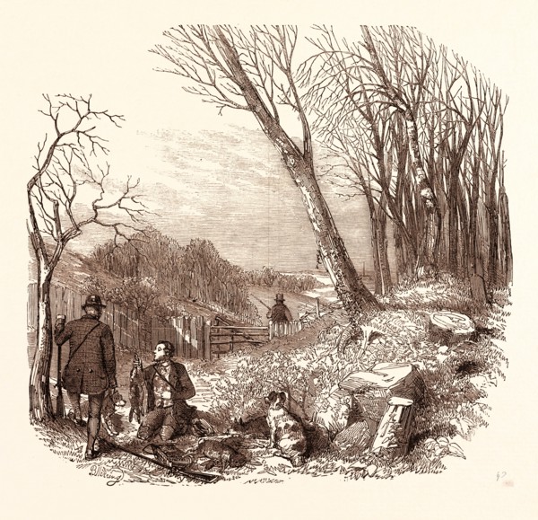 RABBIT SHOOTING, RABBITS