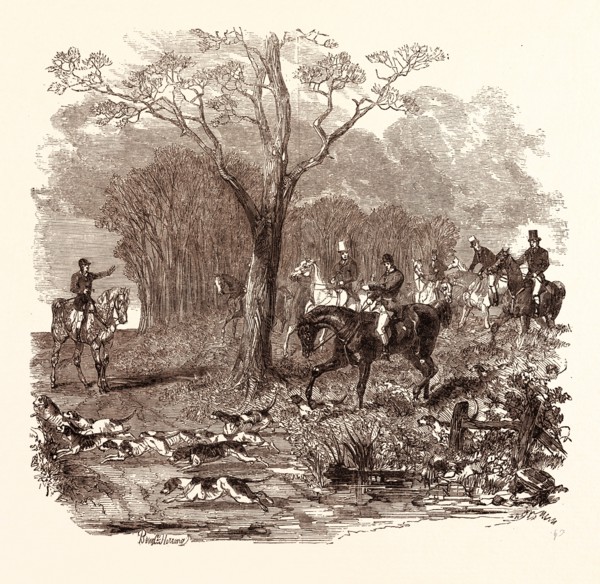 FOX HUNTING IN NOVEMBER, shotgun, hunting, wild, hunter, wildlife, bird, fox hunting, gamebird,