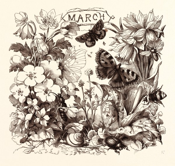 MARCH, calendar, year, month, monthly