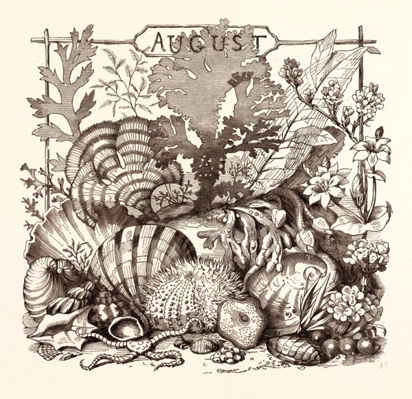 AUGUST, calendar, year, month, monthly